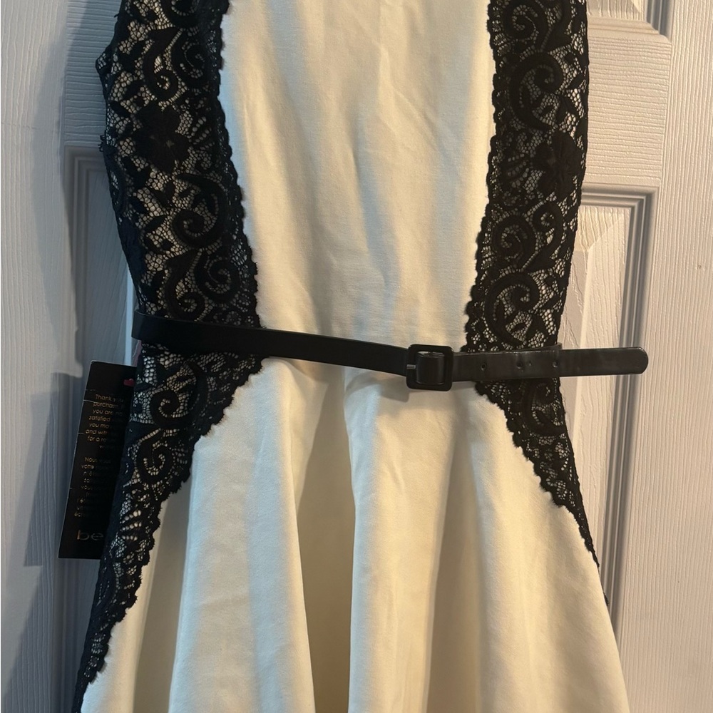 Bebe Lace Fit-and-Flare Dress (XS), NWT